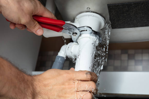 Best Local water damage restoration  in Elk Ridge, UT