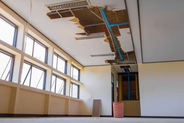  Elk Ridge, UT Water damage restoration Pros