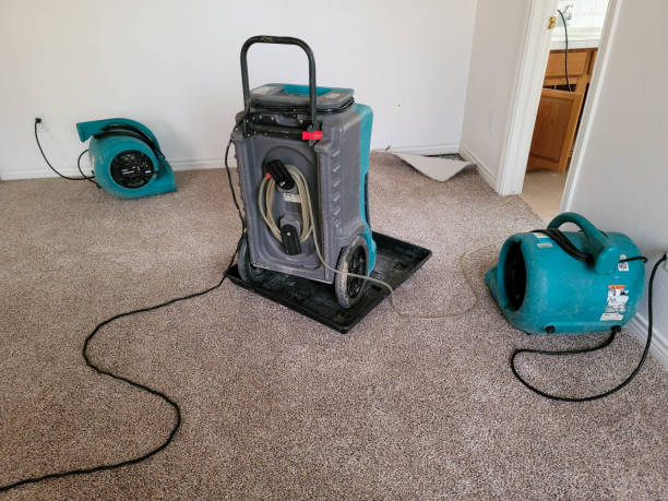 Best 24-hour water damage restoration  in Elk Ridge, UT