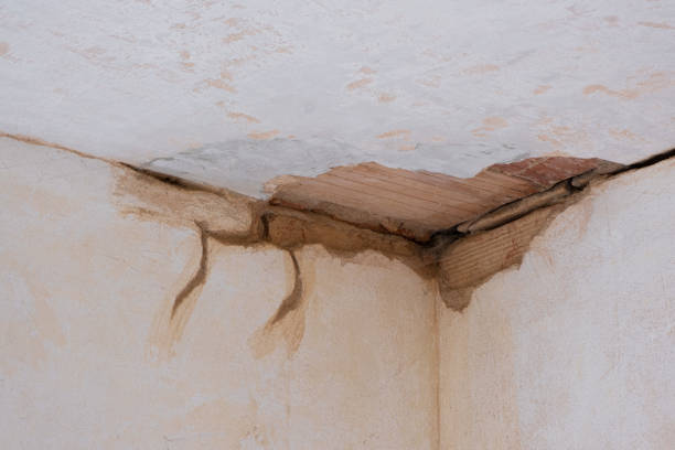 Best Fire Damage Restoration  in Elk Ridge, UT