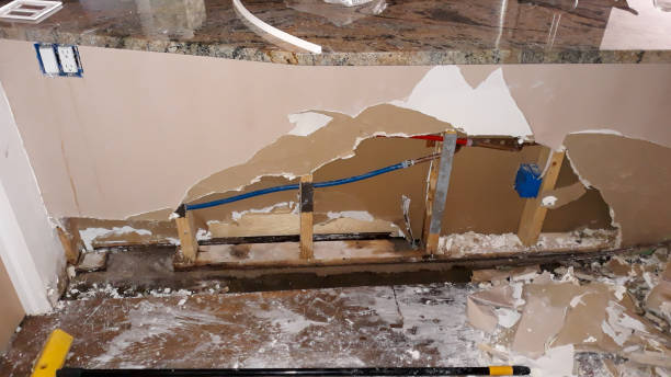 Best Water damage restoration near me  in Elk Ridge, UT