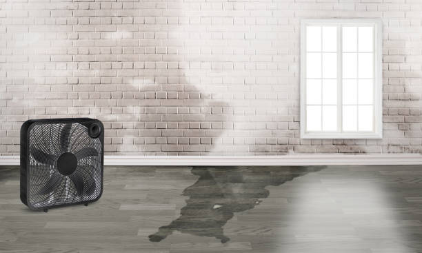 Trusted Elk Ridge, UT Water damage restoration Experts