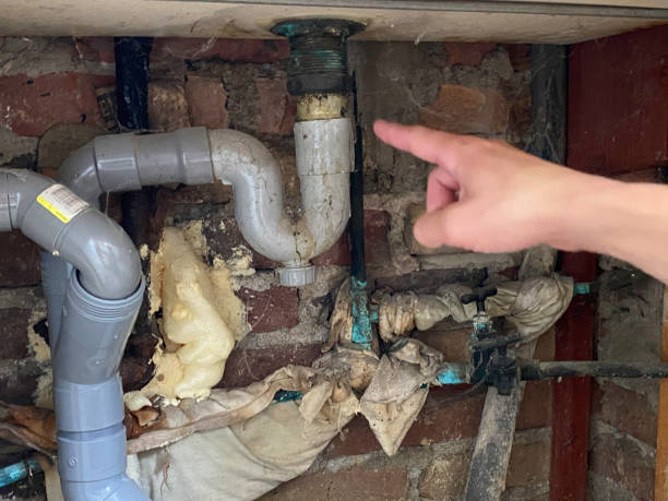 Best 24-hour water damage restoration  in Elk Ridge, UT