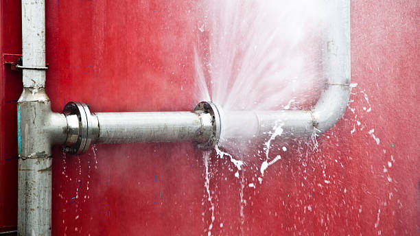 Best Flood damage cleanup  in Elk Ridge, UT